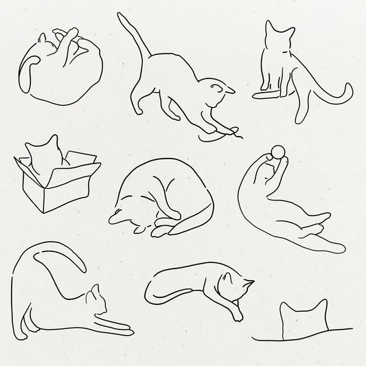 Mood Board