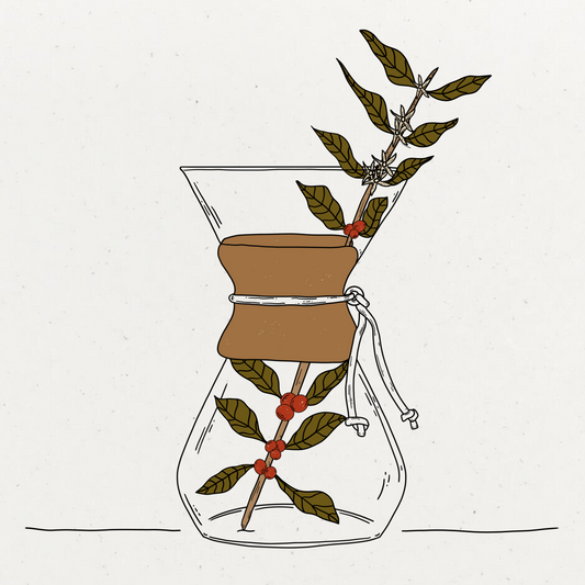 Pour Over
